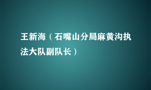王新海（石嘴山分局麻黄沟执法大队副队长）