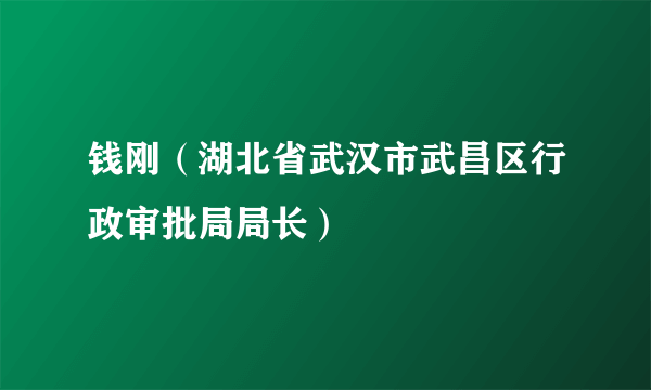 钱刚（湖北省武汉市武昌区行政审批局局长）