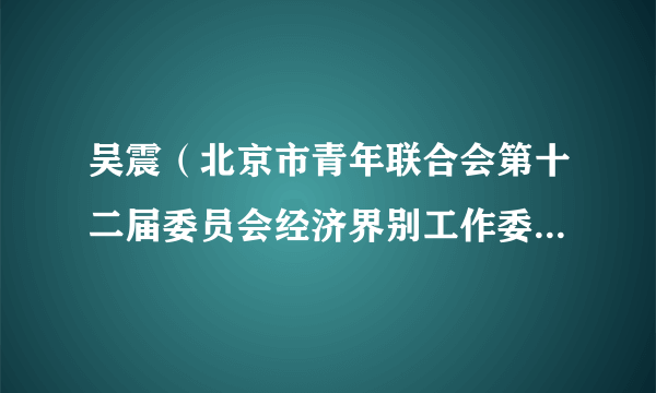 吴震（北京市青年联合会第十二届委员会经济界别工作委员会副主任委员）
