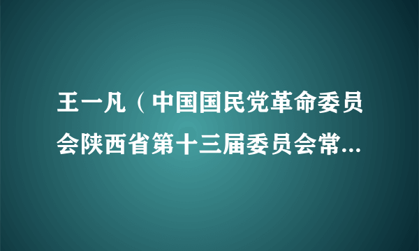 王一凡（中国国民党革命委员会陕西省第十三届委员会常务委员）
