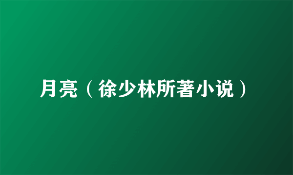 月亮（徐少林所著小说）