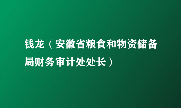 钱龙（安徽省粮食和物资储备局财务审计处处长）