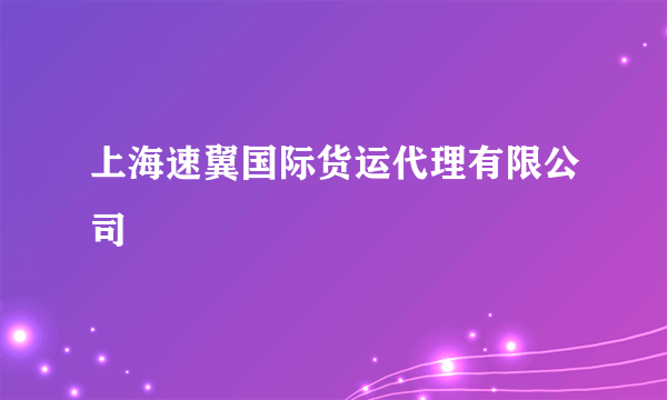 上海速翼国际货运代理有限公司