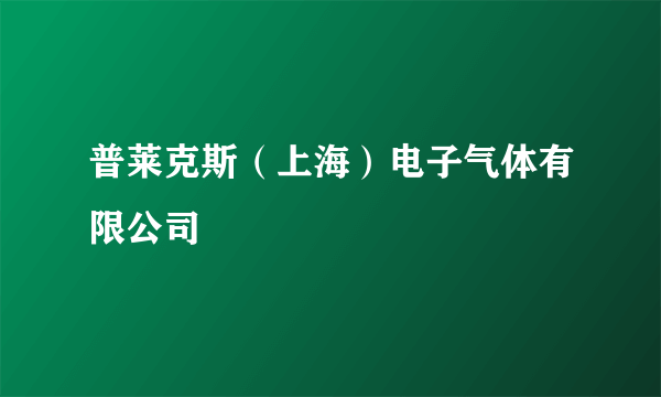 普莱克斯（上海）电子气体有限公司