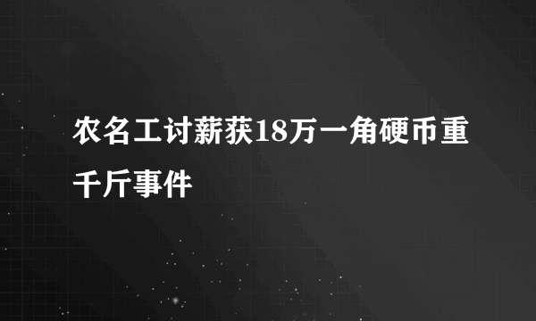 农名工讨薪获18万一角硬币重千斤事件
