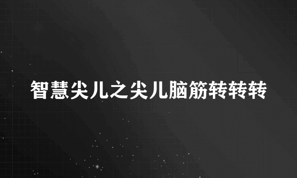 智慧尖儿之尖儿脑筋转转转