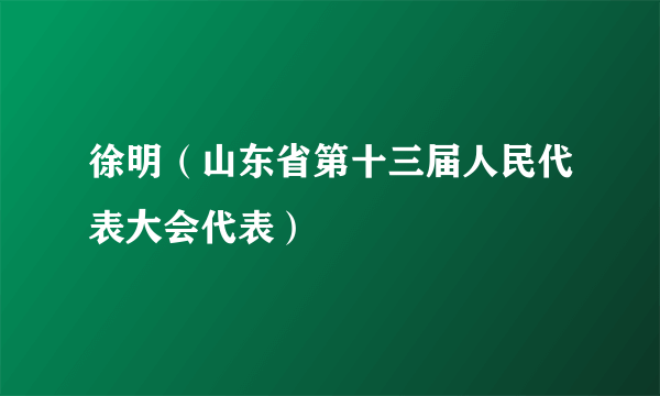 徐明（山东省第十三届人民代表大会代表）