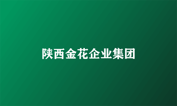 陕西金花企业集团