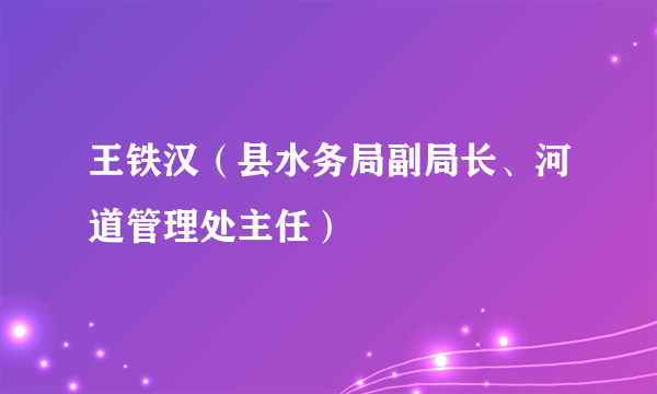 王铁汉（县水务局副局长、河道管理处主任）
