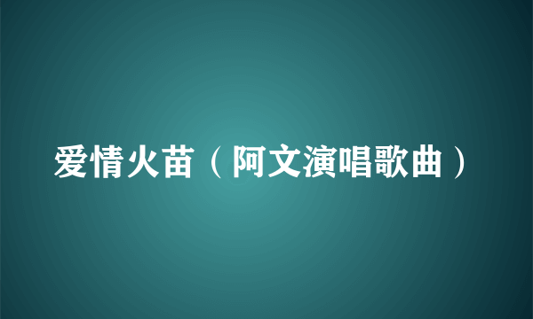 爱情火苗（阿文演唱歌曲）