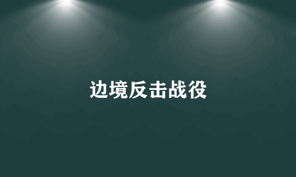 边境反击战役