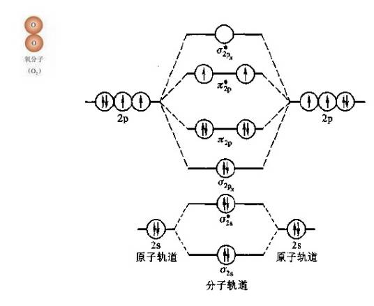 双原子分子