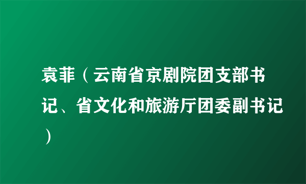 袁菲（云南省京剧院团支部书记、省文化和旅游厅团委副书记）