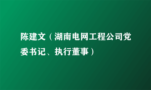 陈建文（湖南电网工程公司党委书记、执行董事）