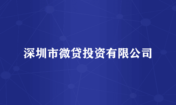 深圳市微贷投资有限公司