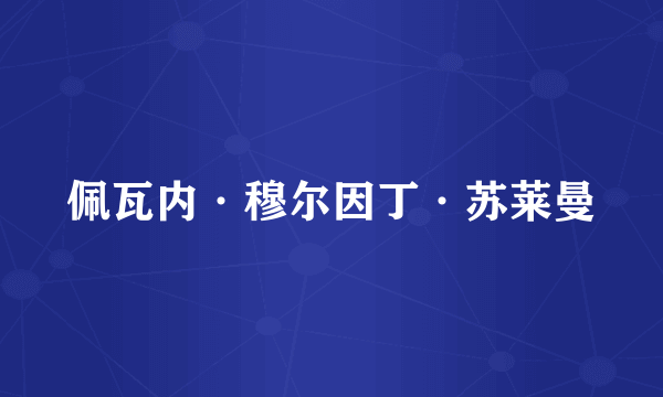 佩瓦内·穆尔因丁·苏莱曼