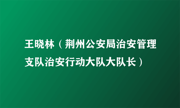 王晓林（荆州公安局治安管理支队治安行动大队大队长）