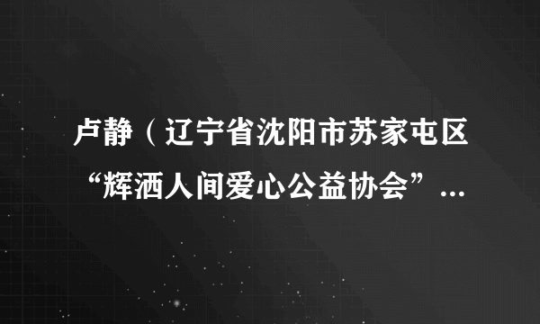 卢静（辽宁省沈阳市苏家屯区“辉洒人间爱心公益协会”负责人）