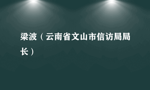 梁波（云南省文山市信访局局长）