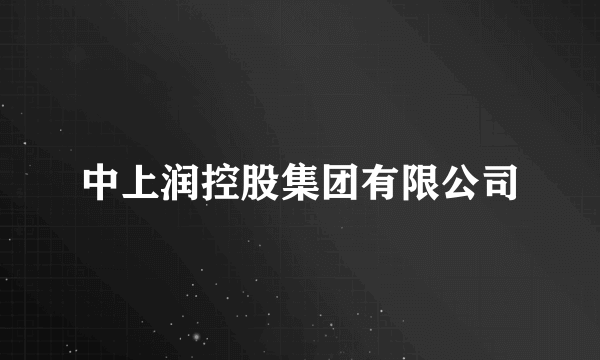 中上润控股集团有限公司