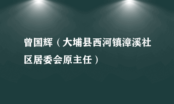 曾国辉（大埔县西河镇漳溪社区居委会原主任）