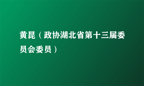 黄昆（政协湖北省第十三届委员会委员）