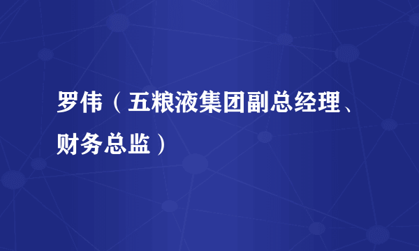 罗伟（五粮液集团副总经理、财务总监）