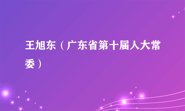 王旭东（广东省第十届人大常委）