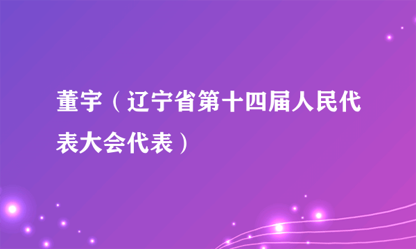 董宇（辽宁省第十四届人民代表大会代表）