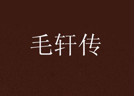 毛轩传