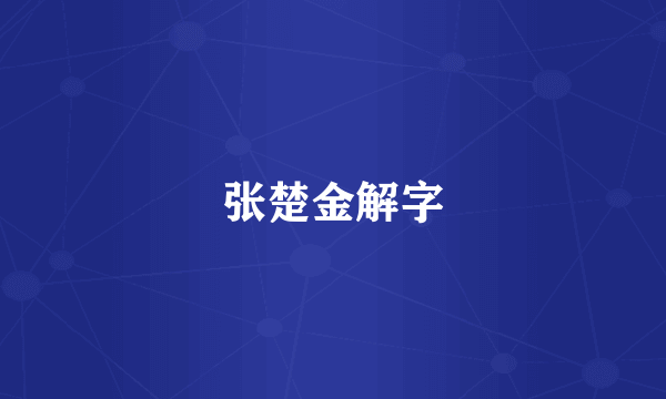 张楚金解字
