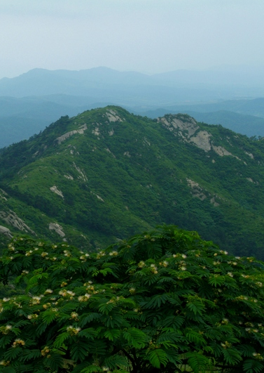 高村镇（山东威海市文登区下辖镇）