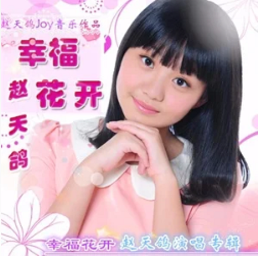 追梦少年（赵天鸽歌曲）