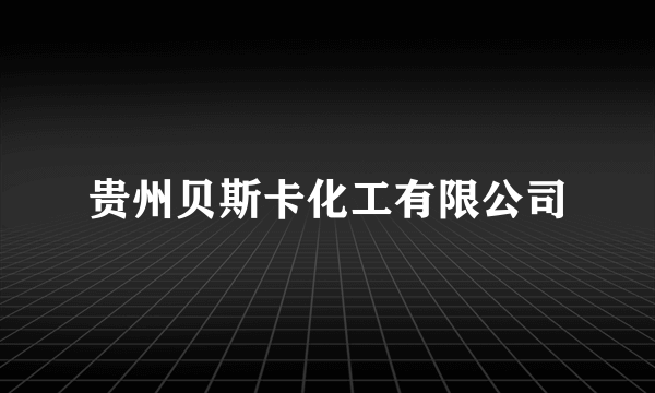 贵州贝斯卡化工有限公司