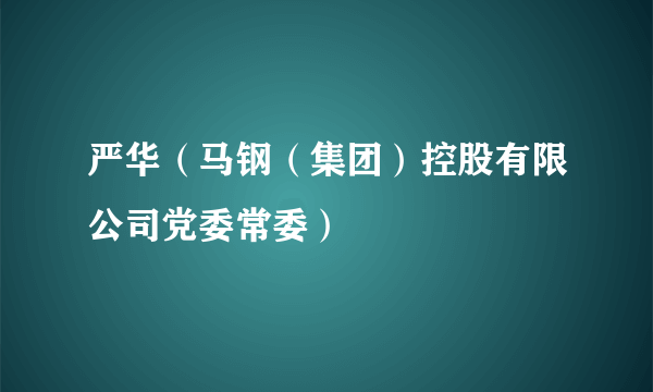 严华（马钢（集团）控股有限公司党委常委）