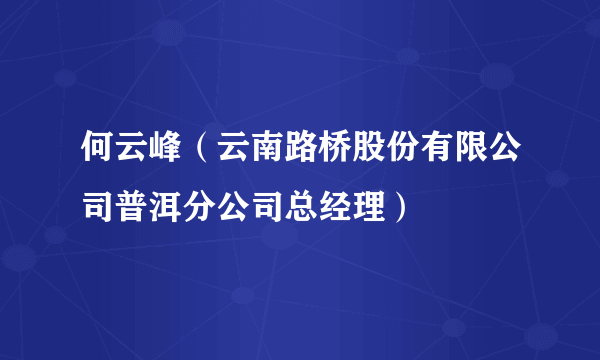 何云峰（云南路桥股份有限公司普洱分公司总经理）