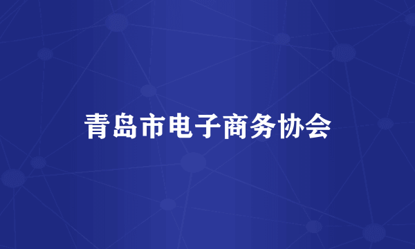青岛市电子商务协会