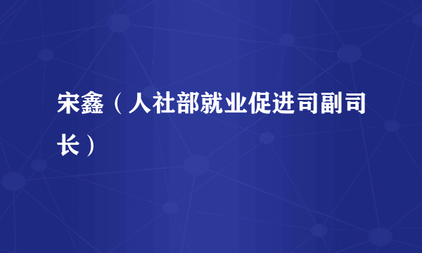 宋鑫（人社部就业促进司副司长）