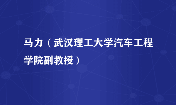 马力（武汉理工大学汽车工程学院副教授）
