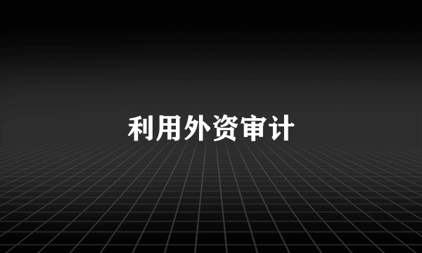 利用外资审计