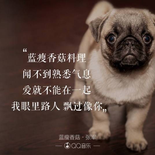 蓝瘦香菇（张军演唱的歌曲）