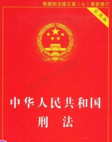 中华人民共和国刑法（2007年中国法制出版社出版的图书）
