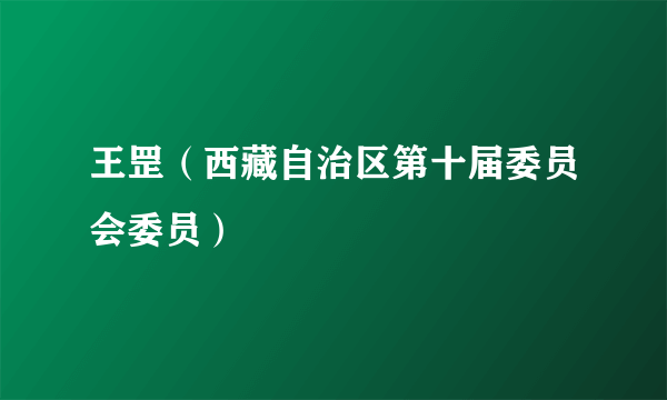 王罡（西藏自治区第十届委员会委员）