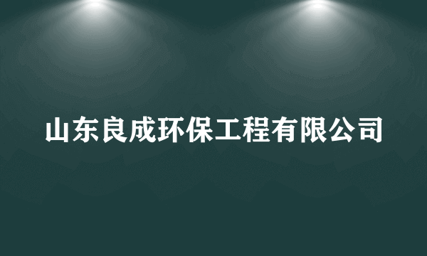 山东良成环保工程有限公司