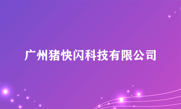 广州猪快闪科技有限公司