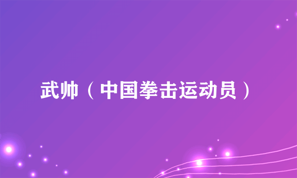武帅（中国拳击运动员）