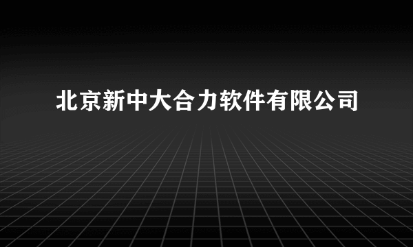 北京新中大合力软件有限公司