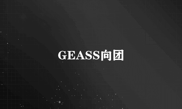 GEASS向团