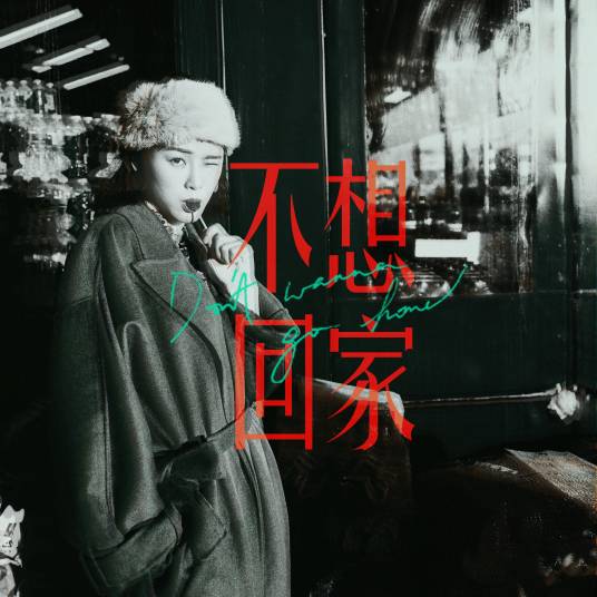 不想回家（陈蕾演唱歌曲）