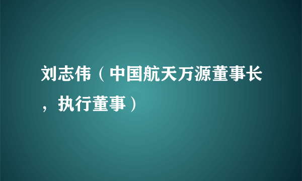 刘志伟（中国航天万源董事长，执行董事）